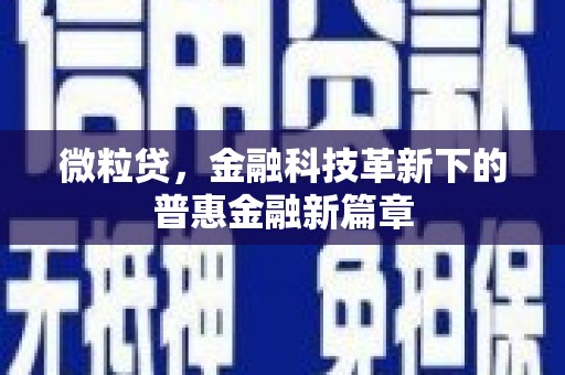 双城微粒贷，金融科技革新下的普惠金融新篇章