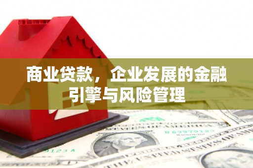 双城商业贷款，企业发展的金融引擎与风险管理