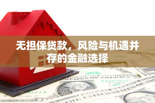 双城无担保贷款，风险与机遇并存的金融选择