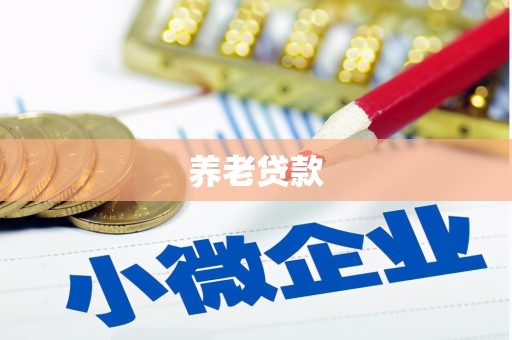 双城养老贷款