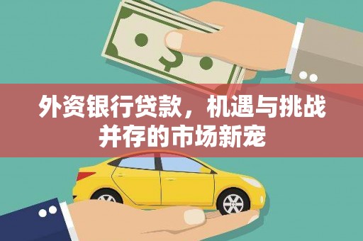 双城外资银行贷款，机遇与挑战并存的市场新宠