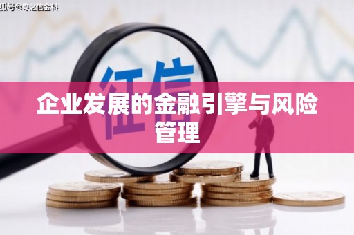 双城企业发展的金融引擎与风险管理