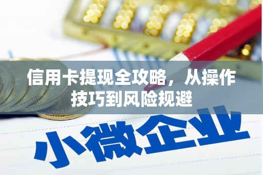 双城信用卡提现全攻略，从操作技巧到风险规避