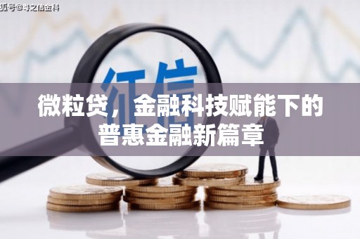 双城微粒贷，金融科技赋能下的普惠金融新篇章