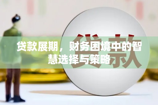 双城贷款展期，财务困境中的智慧选择与策略