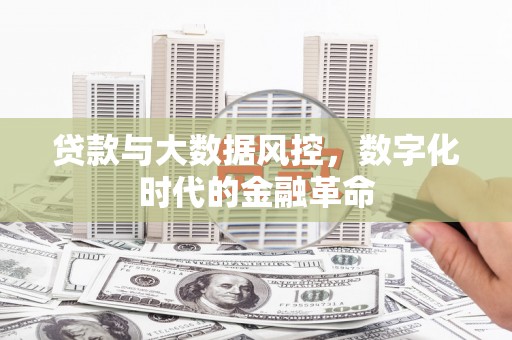 双城贷款与大数据风控，数字化时代的金融革命