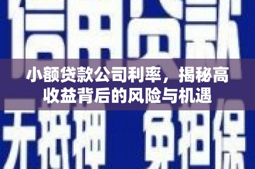 双城小额贷款公司利率，揭秘高收益背后的风险与机遇