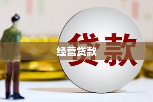 双城经营贷款