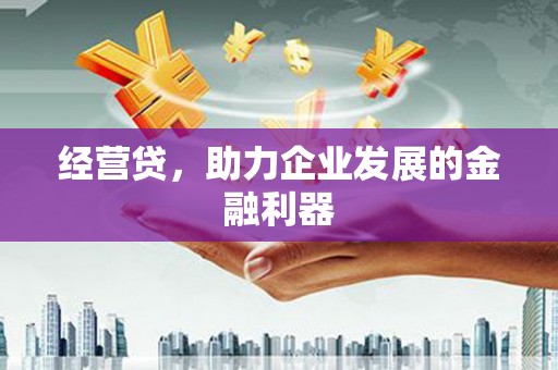 双城经营贷，助力企业发展的金融利器