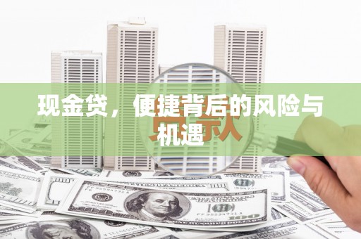 双城现金贷，便捷背后的风险与机遇