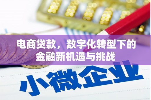 双城电商贷款，数字化转型下的金融新机遇与挑战