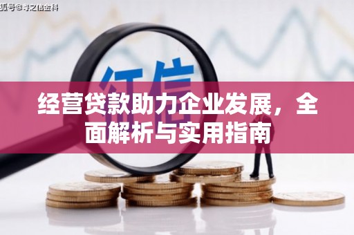 双城经营贷款助力企业发展，全面解析与实用指南