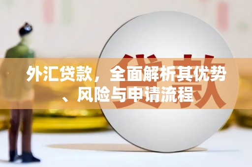 双城外汇贷款，全面解析其优势、风险与申请流程
