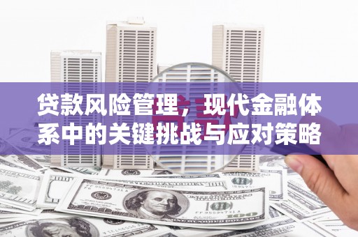 双城贷款风险管理，现代金融体系中的关键挑战与应对策略