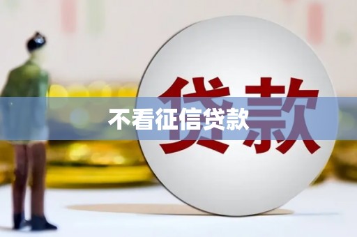 双城不看征信贷款