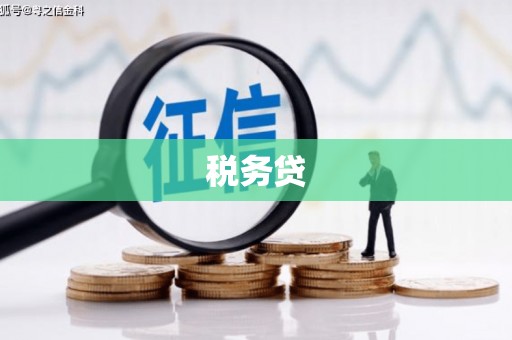 双城税务贷