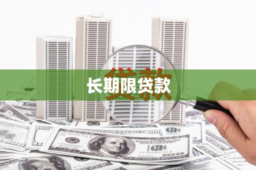 双城长期限贷款