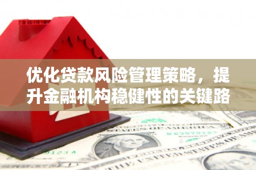 双城优化贷款风险管理策略，提升金融机构稳健性的关键路径