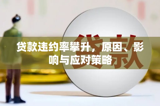双城贷款违约率攀升，原因、影响与应对策略