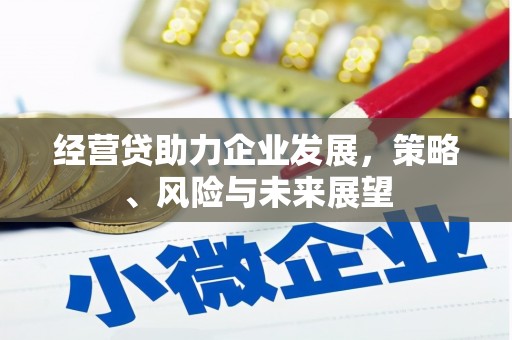 双城经营贷助力企业发展，策略、风险与未来展望