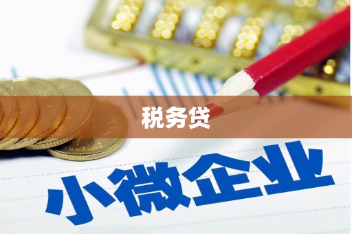 双城税务贷