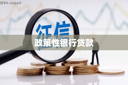 双城政策性银行贷款