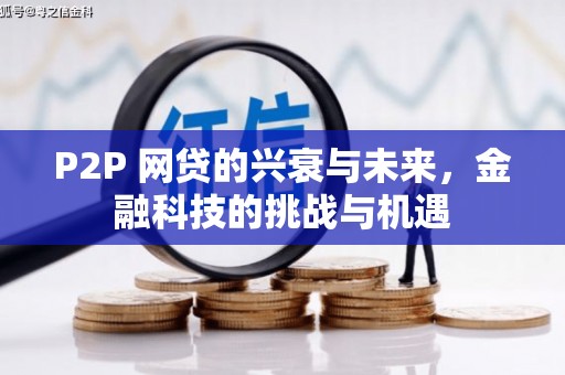 双城P2P 网贷的兴衰与未来，金融科技的挑战与机遇
