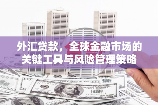 双城外汇贷款，全球金融市场的关键工具与风险管理策略