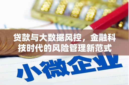 双城贷款与大数据风控，金融科技时代的风险管理新范式