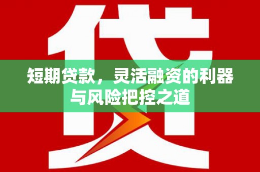 双城短期贷款，灵活融资的利器与风险把控之道