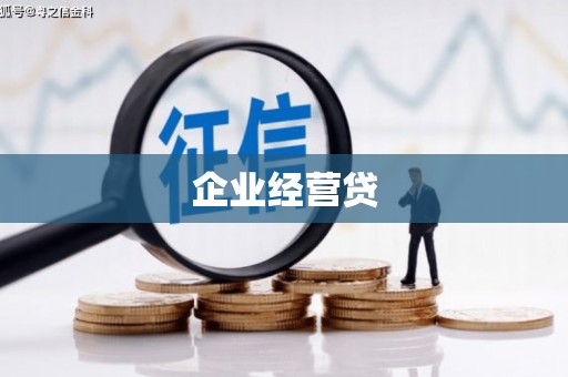 双城企业经营贷
