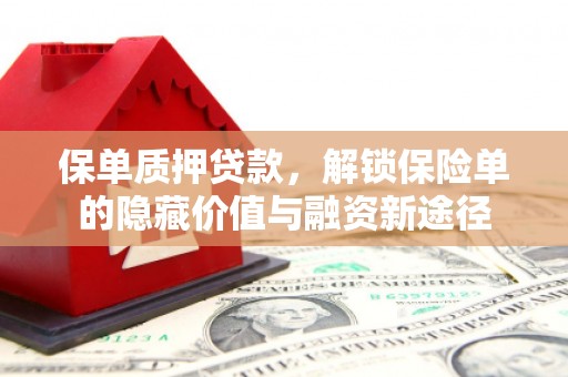 双城保单质押贷款，解锁保险单的隐藏价值与融资新途径