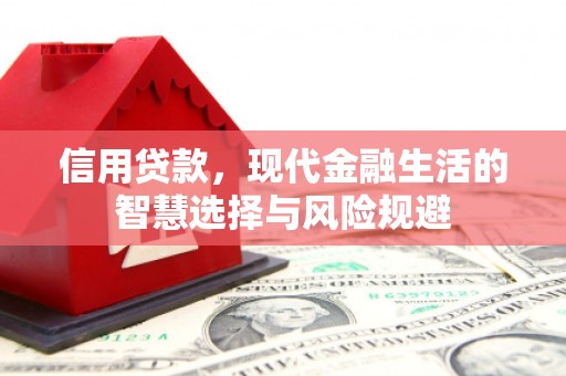 双城信用贷款，现代金融生活的智慧选择与风险规避