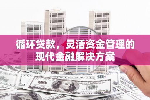 双城循环贷款，灵活资金管理的现代金融解决方案