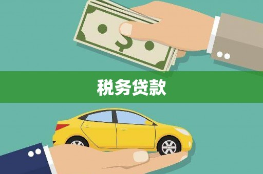 双城税务贷款