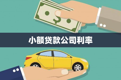 双城小额贷款公司利率