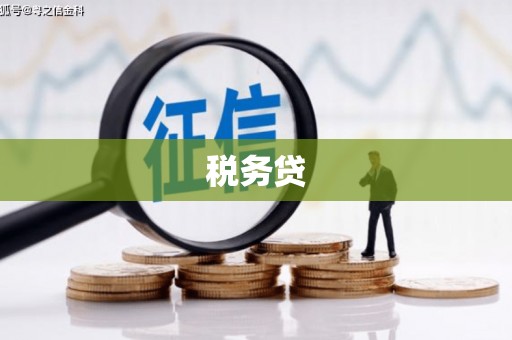 双城税务贷