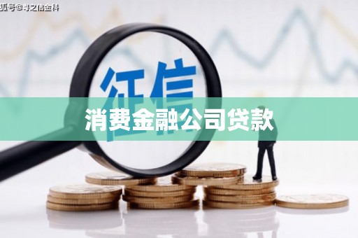 双城消费金融公司贷款