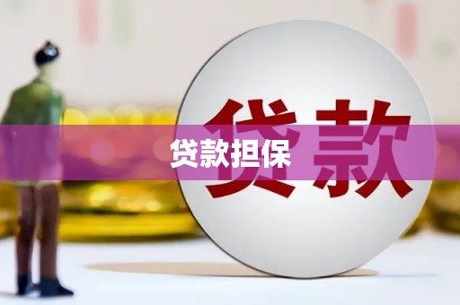 双城贷款担保