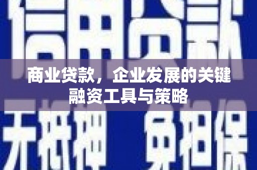 双城商业贷款，企业发展的关键融资工具与策略