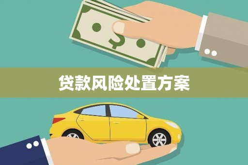 双城贷款风险处置方案