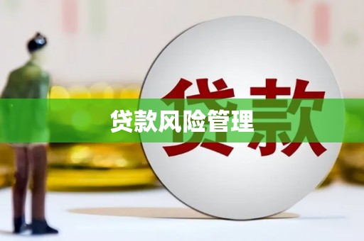 双城贷款风险管理