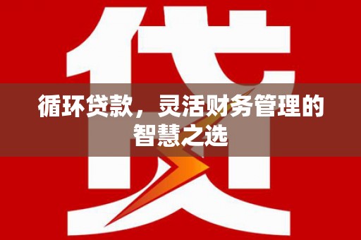 双城循环贷款，灵活财务管理的智慧之选