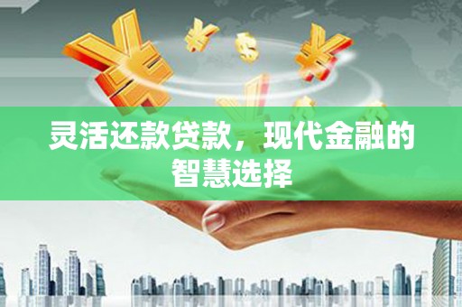 双城灵活还款贷款，现代金融的智慧选择