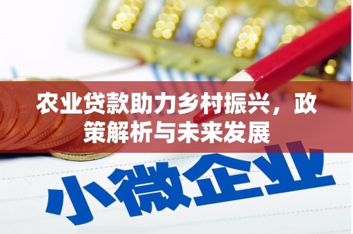 双城农业贷款助力乡村振兴，政策解析与未来发展