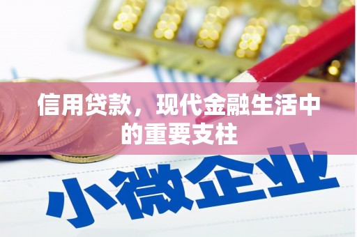 双城信用贷款，现代金融生活中的重要支柱