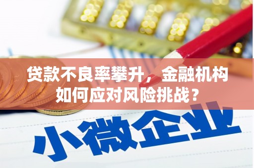 双城贷款不良率攀升，金融机构如何应对风险挑战？