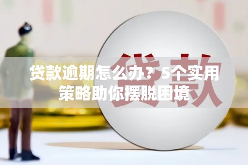 双城贷款逾期怎么办？5个实用策略助你摆脱困境