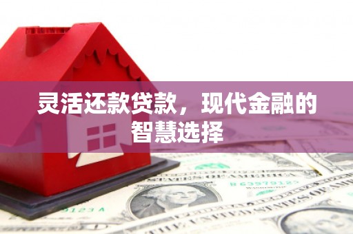 双城灵活还款贷款，现代金融的智慧选择