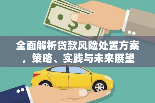 双城全面解析贷款风险处置方案，策略、实践与未来展望